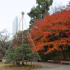 2020/12/11 小石川後楽園