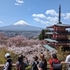 談合坂SA三連泊？前編～話題の富士と桜のビュースポットへ