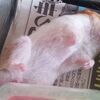 ハムスターを飼うなら飼育ケージより掃除が簡単で子どもでもお世話がしやすい水槽がおススメ  