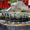 箱根神社②　9頭の龍！！！