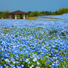 海の中道海浜公園