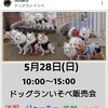本日 5月28(日)10:00～ 埼玉県春日部市ドッグランいそべ販売会 焼きそばやさんが来てくれるそうですよ