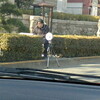 警察の取り締まりについて　