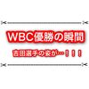 WBC優勝の瞬間に吉田選手が大変な事になってた件