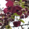 ブログ開始から３６４週　🌸