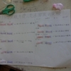 ６年生：理科　水溶液の性質をリトマス紙で調べる