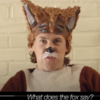 The Fox(What Does the Fox Say?) Ylvis(イルヴィス)