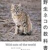 本『野生ネコの教科書』、CD『JUNE JULY AUGUST～SUMMER PIECES～』、そして一度に一つずつやっていく