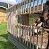 台湾の少数民族「ブヌン族」の暮らしを学べる施設へ行ってきた ～布農部落休閒農場訪問レポート②～