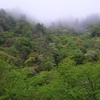 霧の天狗岩と箱館山