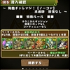 パズドラ　218日目　降臨チャレンジ　求魂師（メフィスト）超地獄級　クリア！　覚醒パール＆ヴェル