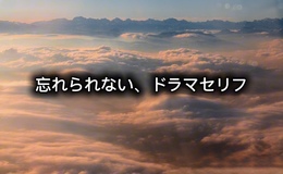 記事を見る
