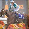 21年 第24回 71回 安田記念 G 東京競馬場 芝1600m 消去法データ 黒鹿毛桜blog 21年 第24回 71回 安田記念 G 東京競馬場 芝1600m 消去法データ 黒鹿毛桜blog