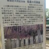 神社巡り★藤の花、続き