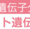 2018年12月31日の自由で孤独な筋トレ（背中と肩）。2019年も筋トレ頑張ります！