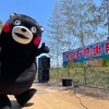 くまモン　阿蘇・南小国に出没