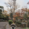 錦秋の旅〜名古屋・お散歩編〜