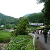 見返りの滝（日本の滝百選）にてあじさい祭り～2013