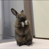 まさかこんなところに
