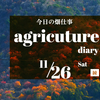 11月26日(土)　「もみがらマルチ」をしました