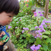 子ども連れで、雨の日のお出かけ