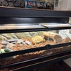 リクガメ水槽の床材を変えてみた / 羽鳥式3層構造 （固まる木砂＋脱臭チップ＋ハスクチップ）