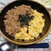 鶏そぼろ丼by信濃屋　植野食堂