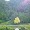 変わることを楽しいと思う事