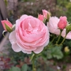 うれしいね