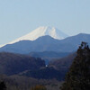 奥武蔵 日和田山