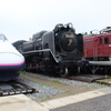茨城に北斗星が！無料で楽しめる庭園がすごい、ザ・ヒロサワシティ。SLもおか号に乗車しました【No.3】