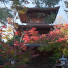 22年11月中旬：【世田谷区豪徳寺】周辺をお写んぽ。其の「よん」／常香炉（じょうこうろ）と三重塔