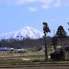 ４月３日（木）そろそろ抜けそう