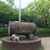 上の池公園