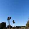 今夜の晩ごはんは　リメイクばかり・・・（笑）