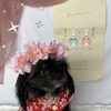 楽天room・あたちはモデル🐶オリジナル写真撮影の裏側。。。🎎ひな祭りversion🎎