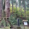 御岩神社の御神木