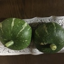 カチオの部屋