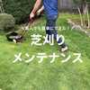 【素人にも簡単な手動芝刈り機で】天然芝庭の芝刈りメンテナンス