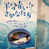 2018/8/15　テーマ水槽「半分青い！？さかなたち」　