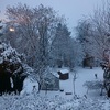 ☆久々のドカ雪