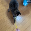 久しぶりに1人