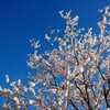 今年の夏は電気代のために働きます