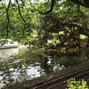 石神井公園から大泉学園へ散歩