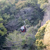 神戸布引ハーブ園・ロープウェイからの眺望