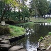 2025.10.23 公園～25　森のテーブルロンド