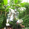 富山県中央植物園を巡る ③（富山県富山市）