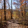 Shanty Hollow Lake