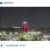 迫力のあるぽてけつ