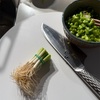 青ネギ （小ネギ）の根っこを植えてみた